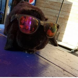 Meet your Posher, Celeste